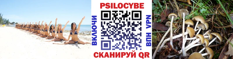 Псилоцибиновые грибы прущие грибы  Томилино 